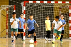 fs_riba_roja_futbol-infantil